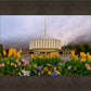Provo Spring Tulips