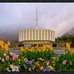 Provo Spring Tulips