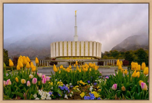 Provo Spring Tulips