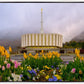 Provo Spring Tulips