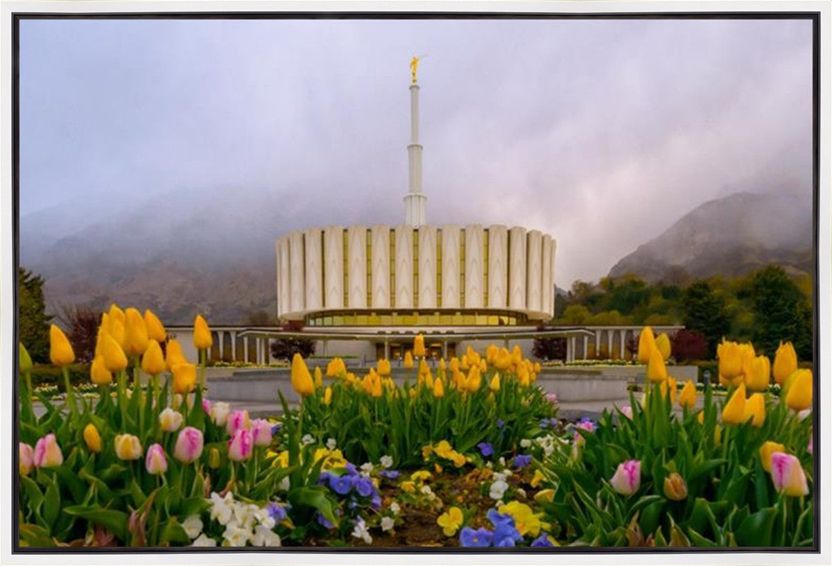 Provo Spring Tulips Gallery Wrap