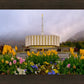 Provo Spring Tulips
