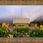 Provo Spring Tulips