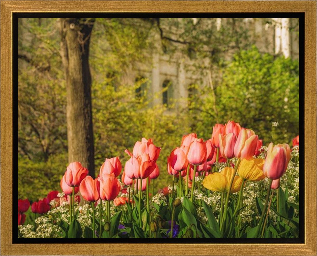 Salt Lake In The Garden Gallery Wrap