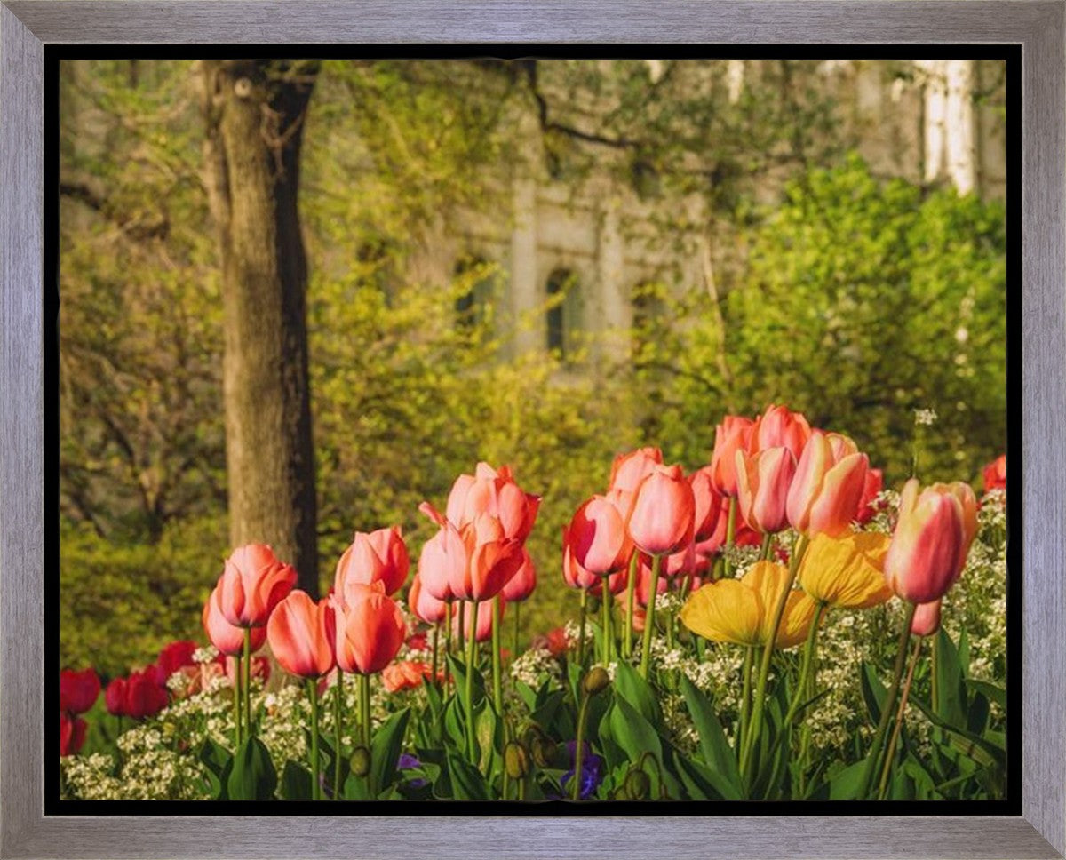 Salt Lake In The Garden Gallery Wrap