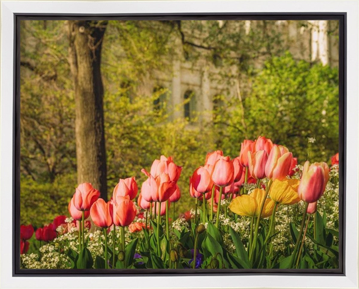 Salt Lake In The Garden Gallery Wrap