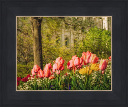 Salt Lake in the Garden