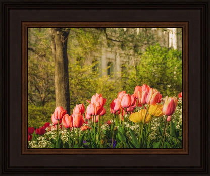 Salt Lake In The Garden