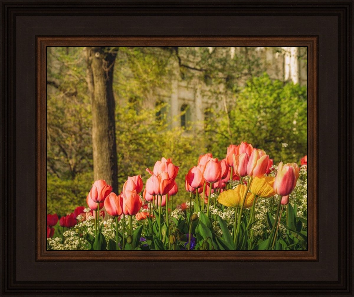 Salt Lake in the Garden