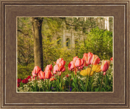 Salt Lake In The Garden