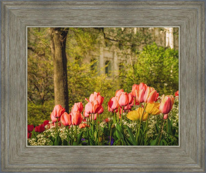 Salt Lake In The Garden