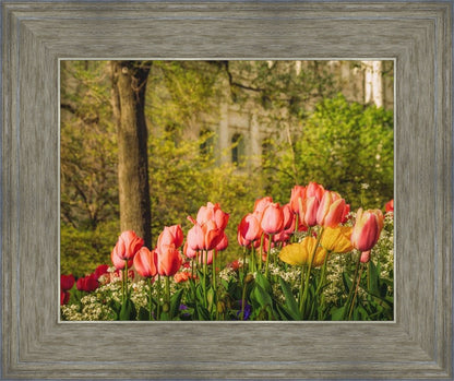 Salt Lake in the Garden