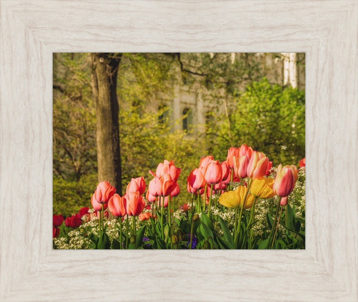 Salt Lake in the Garden