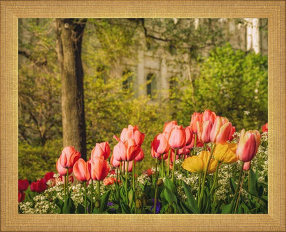 Salt Lake In The Garden