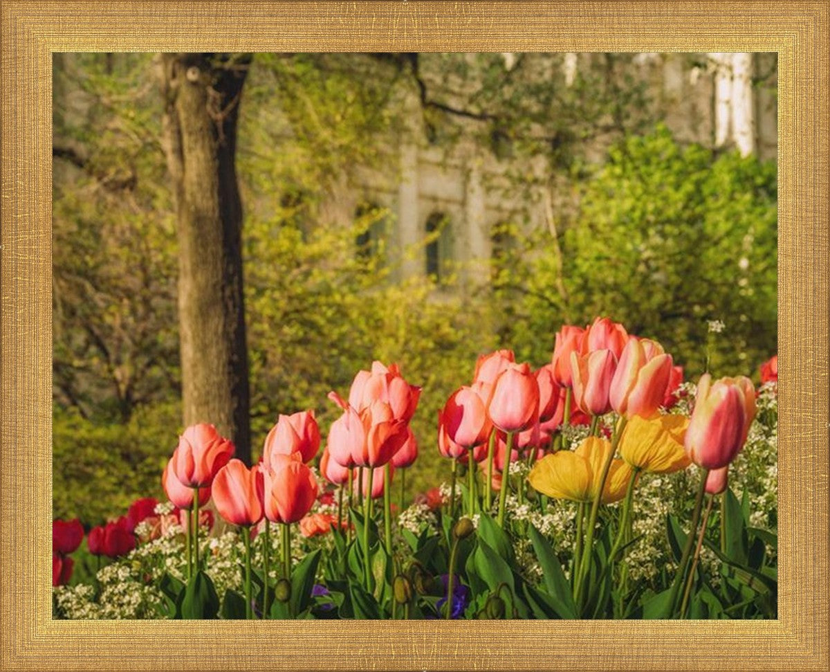 Salt Lake in the Garden