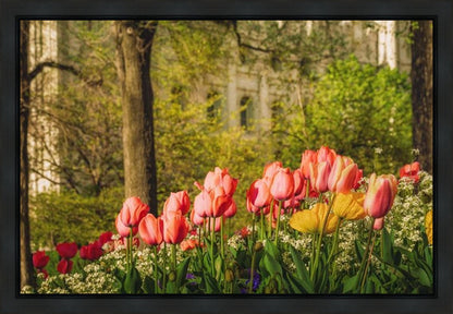 Salt Lake in the Garden