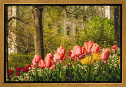 Salt Lake in the Garden