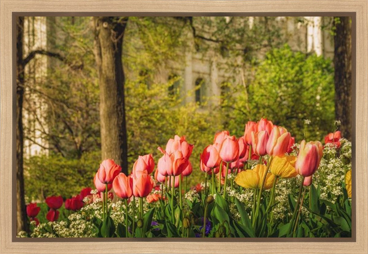 Salt Lake In The Garden Gallery Wrap