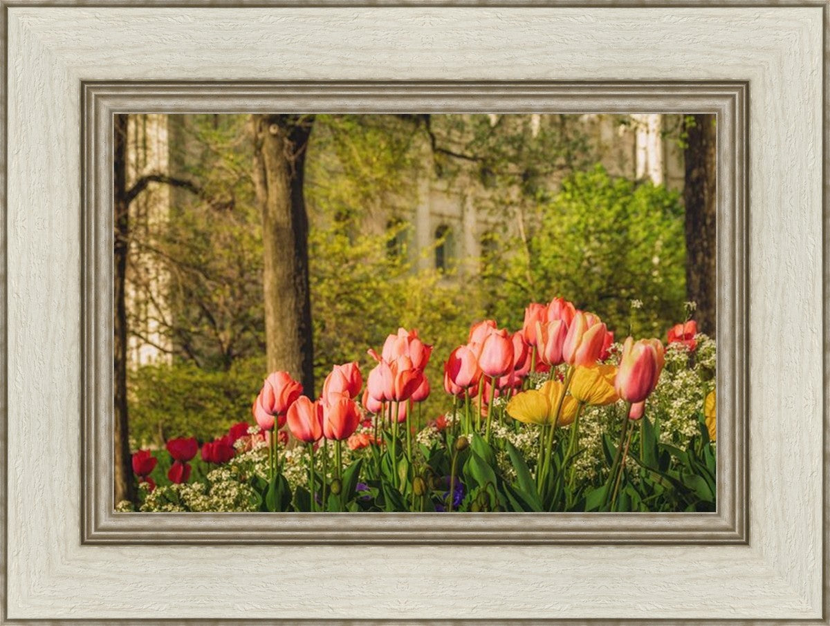 Salt Lake in the Garden