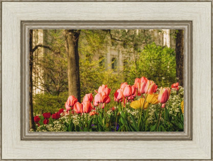 Salt Lake in the Garden