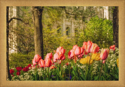 Salt Lake In The Garden