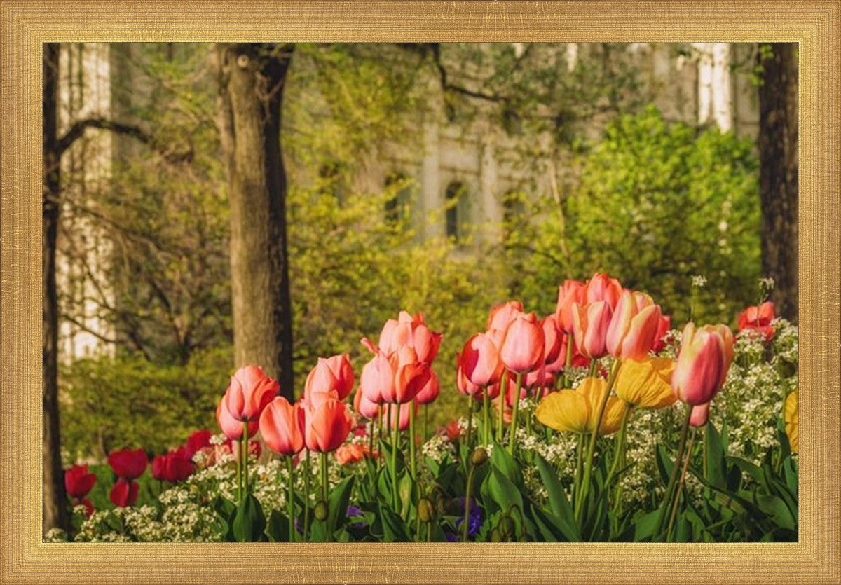 Salt Lake in the Garden