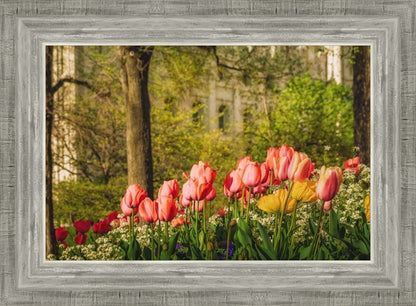 Salt Lake in the Garden