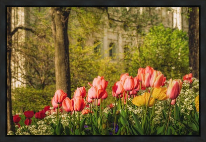 Salt Lake in the Garden