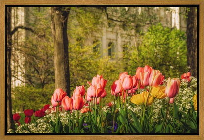 Salt Lake in the Garden