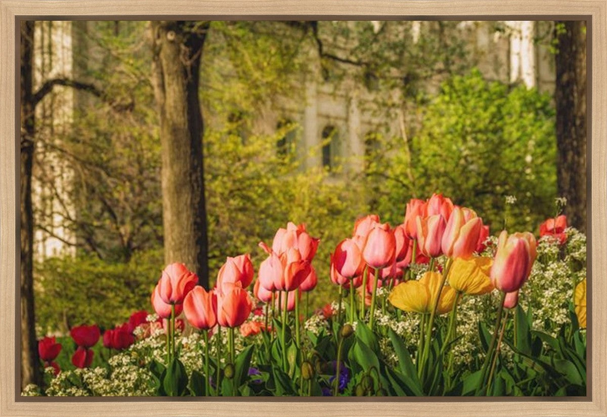 Salt Lake In The Garden Gallery Wrap
