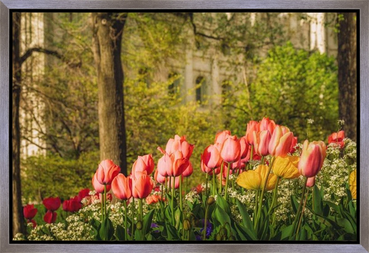 Salt Lake In The Garden Gallery Wrap
