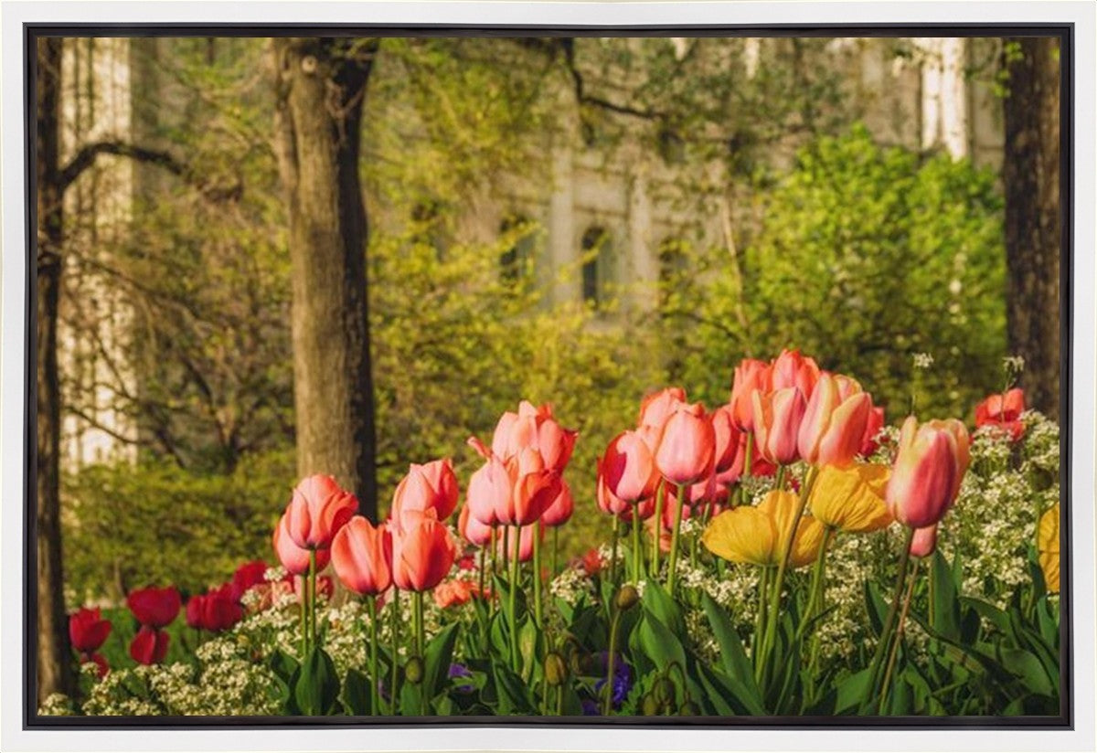 Salt Lake In The Garden Gallery Wrap