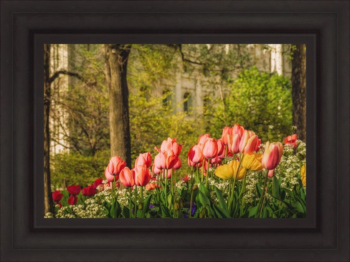 Salt Lake in the Garden