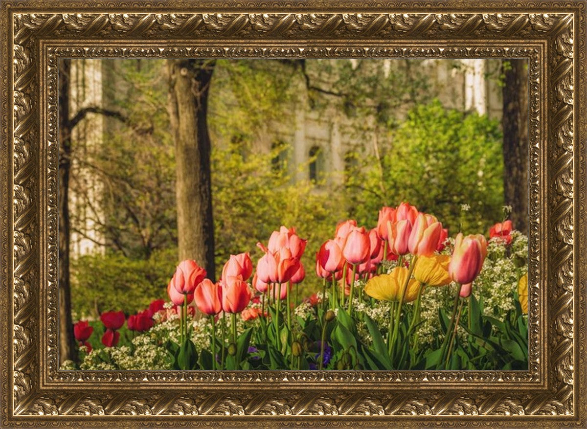 Salt Lake in the Garden