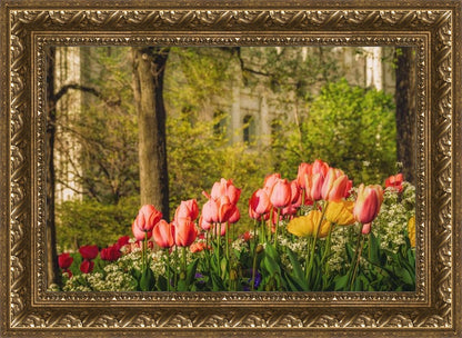 Salt Lake in the Garden