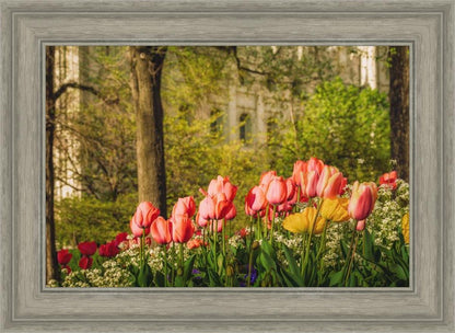 Salt Lake In The Garden