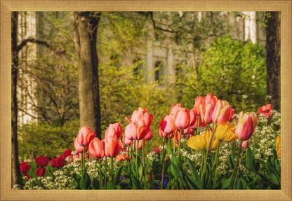 Salt Lake In The Garden