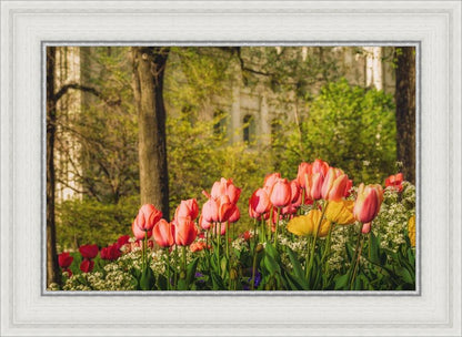 Salt Lake In The Garden