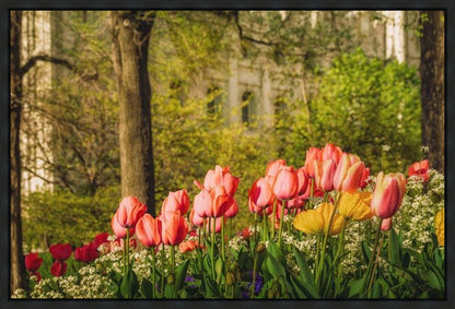 Salt Lake in the Garden