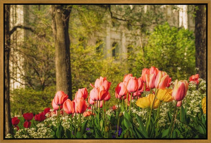 Salt Lake in the Garden