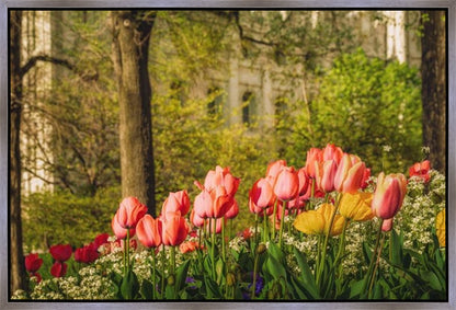 Salt Lake in the Garden