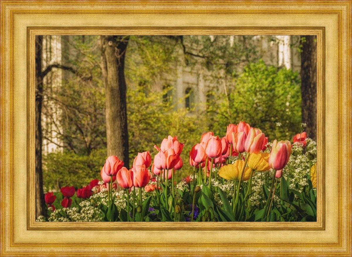 Salt Lake in the Garden