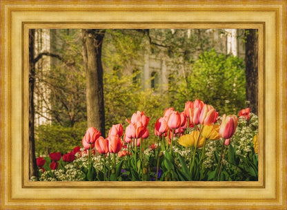 Salt Lake in the Garden