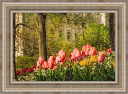 Salt Lake in the Garden