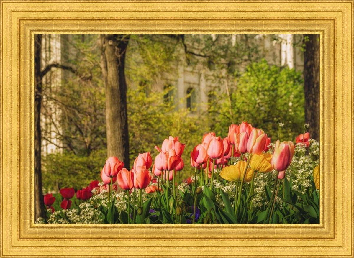 Salt Lake in the Garden