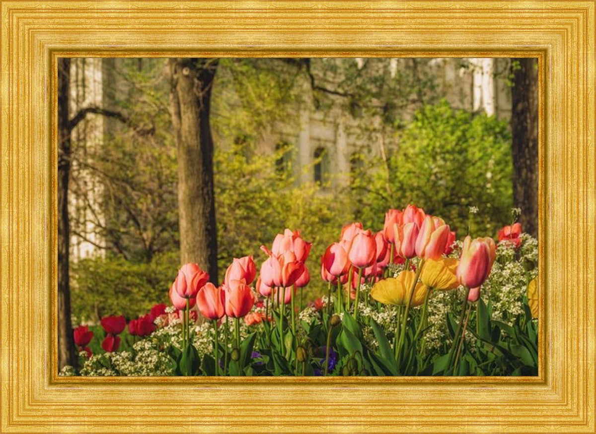 Salt Lake in the Garden