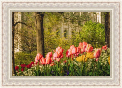 Salt Lake in the Garden