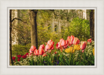 Salt Lake in the Garden