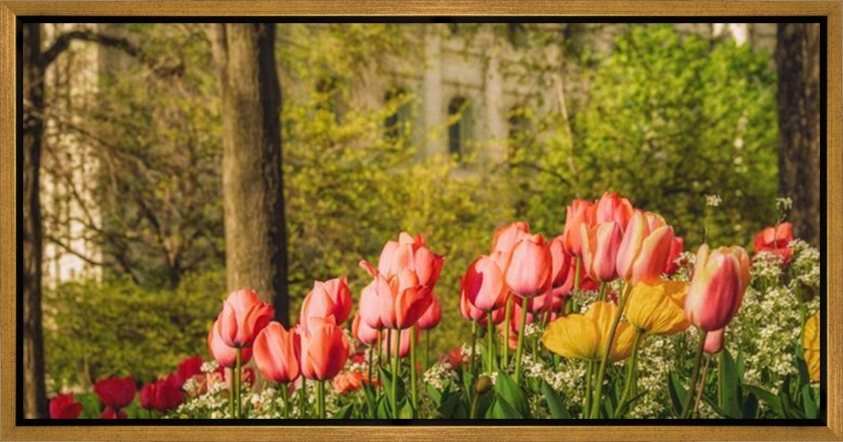 Salt Lake In The Garden Gallery Wrap