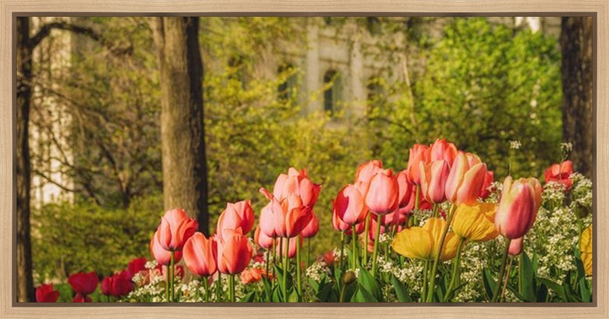 Salt Lake In The Garden Gallery Wrap